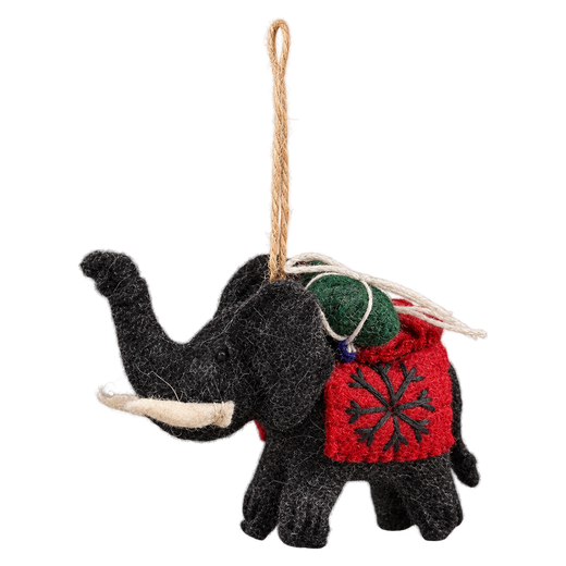 Jet the Elephant