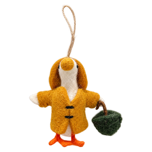 Duck in a Raincoat