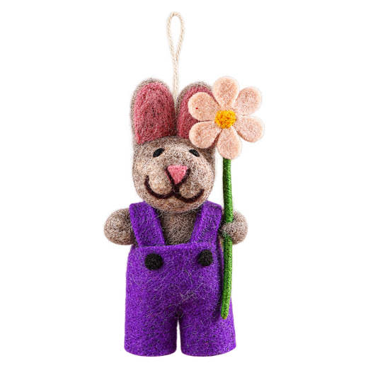 Aster the Bunny