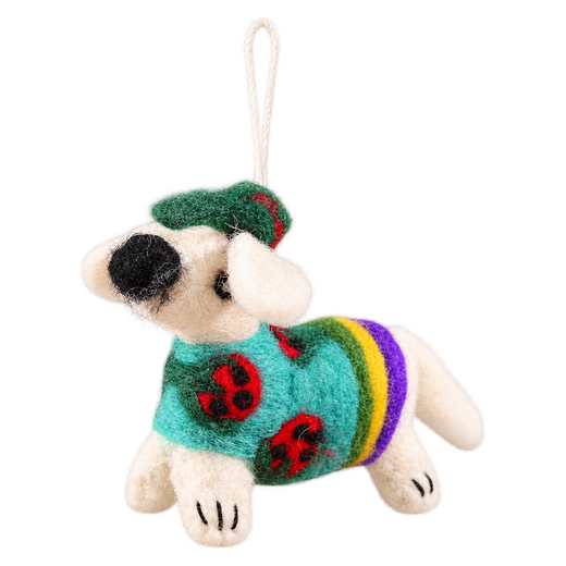 Ladybird Jumper Pup