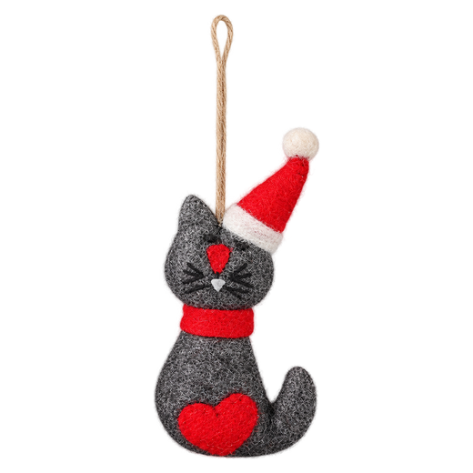Holly the Cat