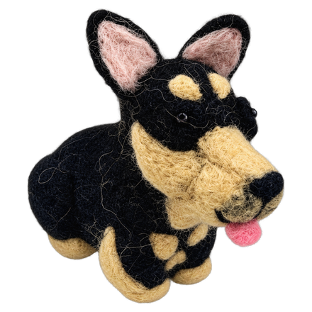 Pip the Pinscher